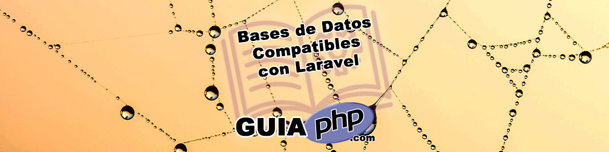Tipos de Bases de Datos Compatibles con Laravel
