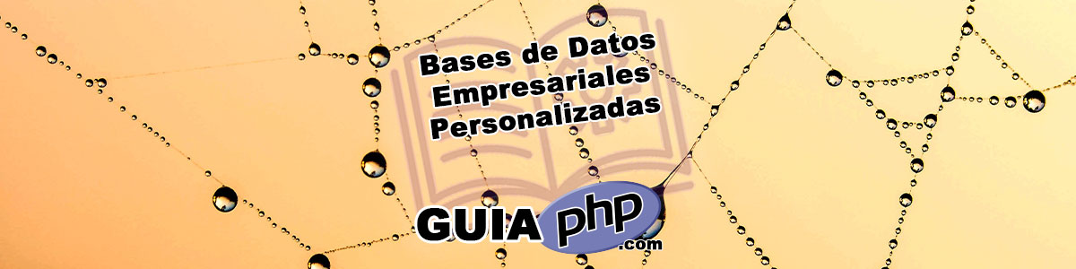 Bases de Datos Empresariales Personalizadas